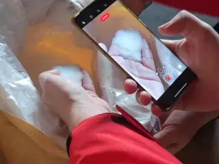 Reviewing product sample