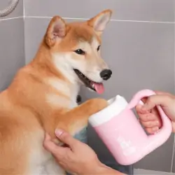 Paw washing device