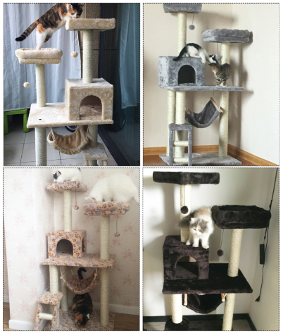 Playground for cats