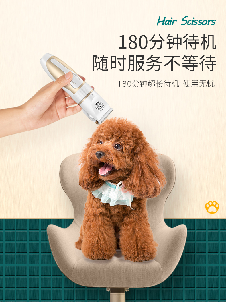 Pet grooming accessories