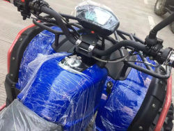 purchase of quads in China